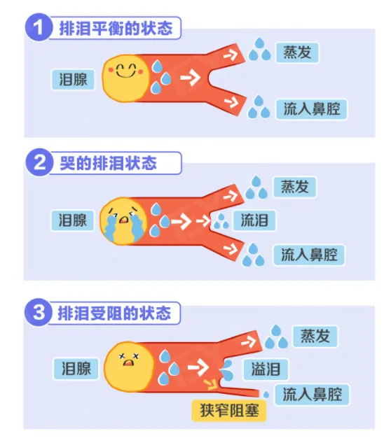 微信图片_20241217114111