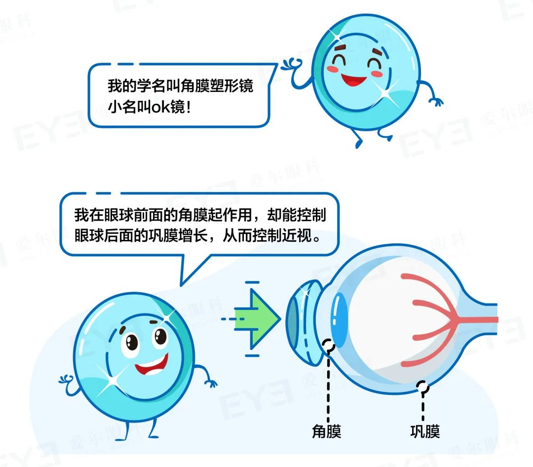 04646ba5b0b54fa5c5ec3bdf7b28e26.png