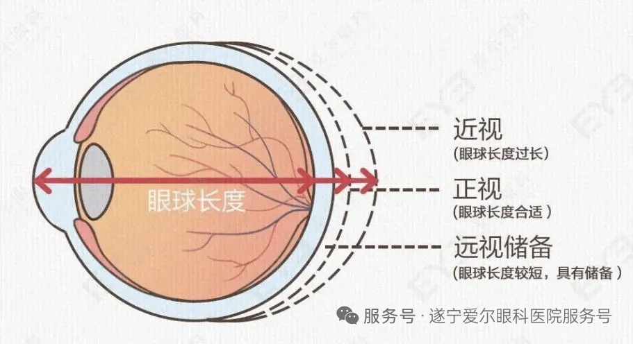 微信图片_20251114110311_90_156