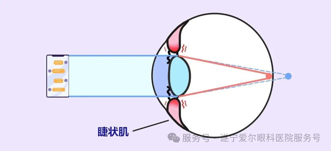 微信图片_2025-11-21_111405_581