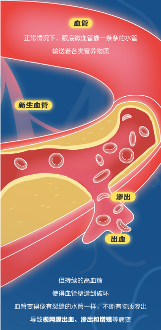1557d310-06f8-4e15-9027-ec7ebbc34e5c