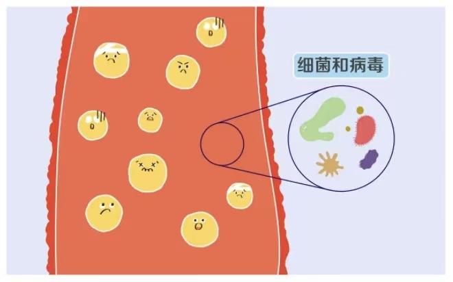 微信图片_20251224092231_128_189