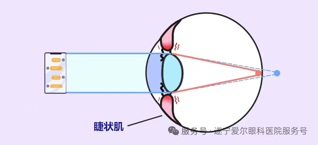 微信图片_20260123135654_177_156 微信图片_20260123135654_177_156
