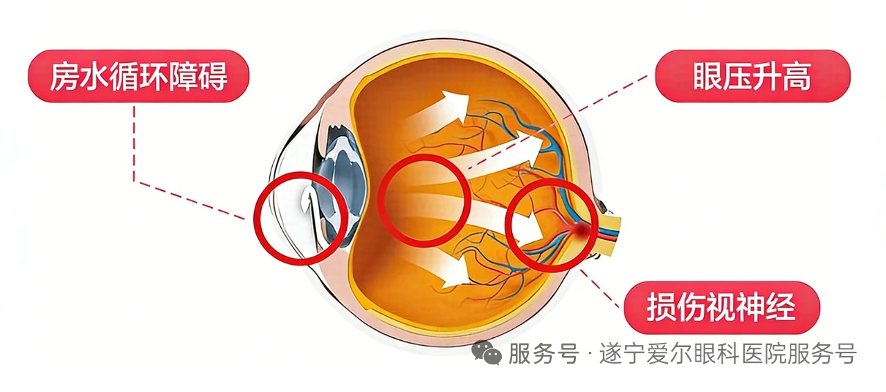 微信图片_20260123150447_184_156 微信图片_20260123150447_184_156