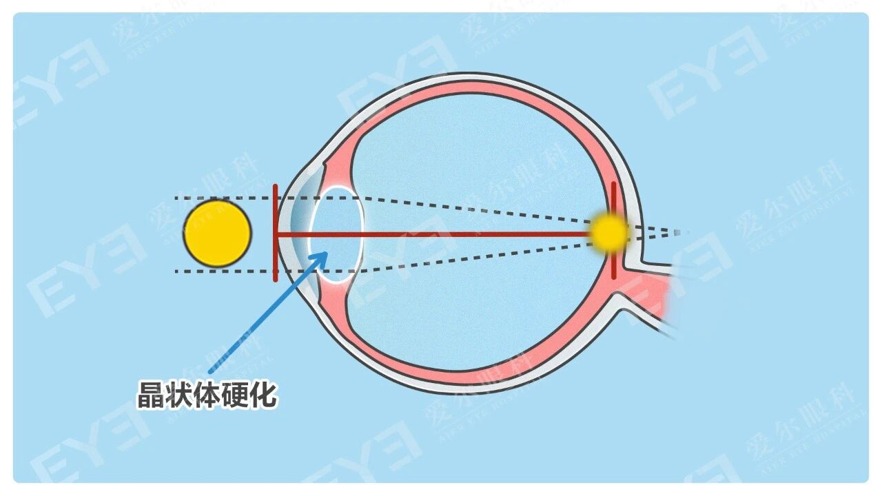 c3a2c1a6-c9f0-45bf-b665-935317344b1e c3a2c1a6-c9f0-45bf-b665-935317344b1e