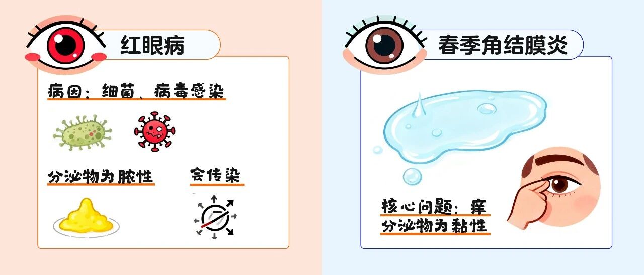 8d92c08b-0882-47b3-861e-9dacdab52d0a