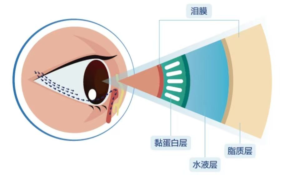 微信图片_20260317085213_289_156