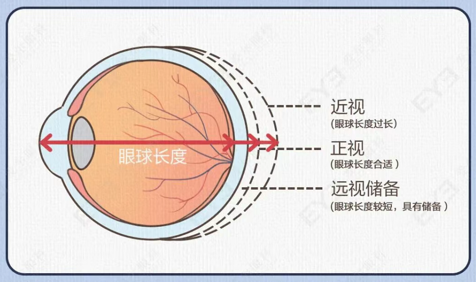 微信图片_20260317085236_297_156