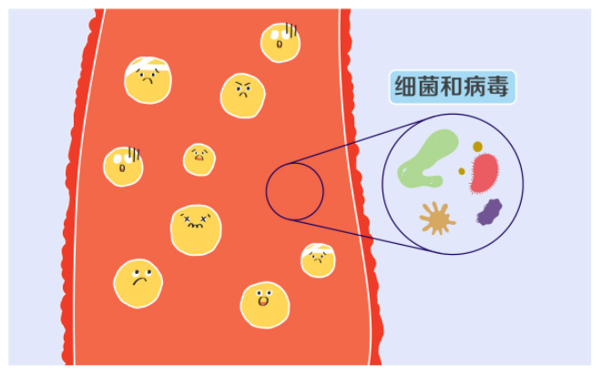 a98d53cf-b20c-40c2-b106-39a50c1cfdb3