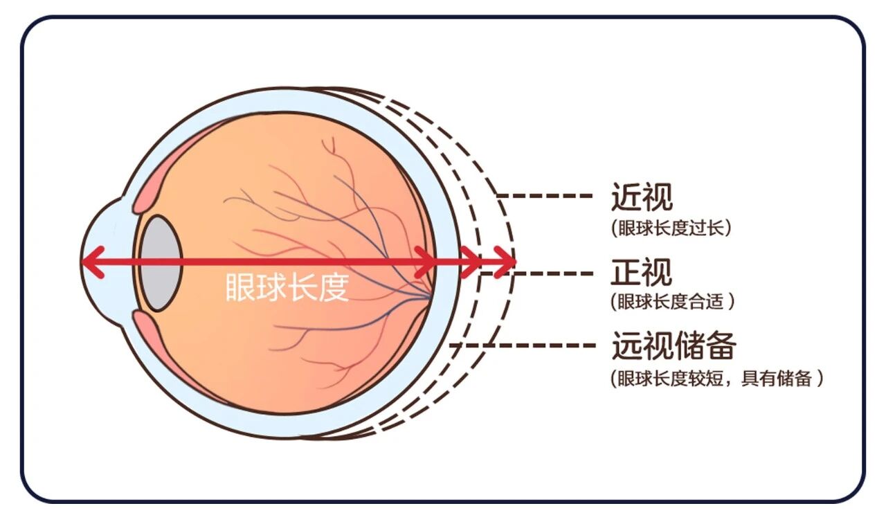 c11e290d-3335-41c5-81c8-28ff4915fdfd
