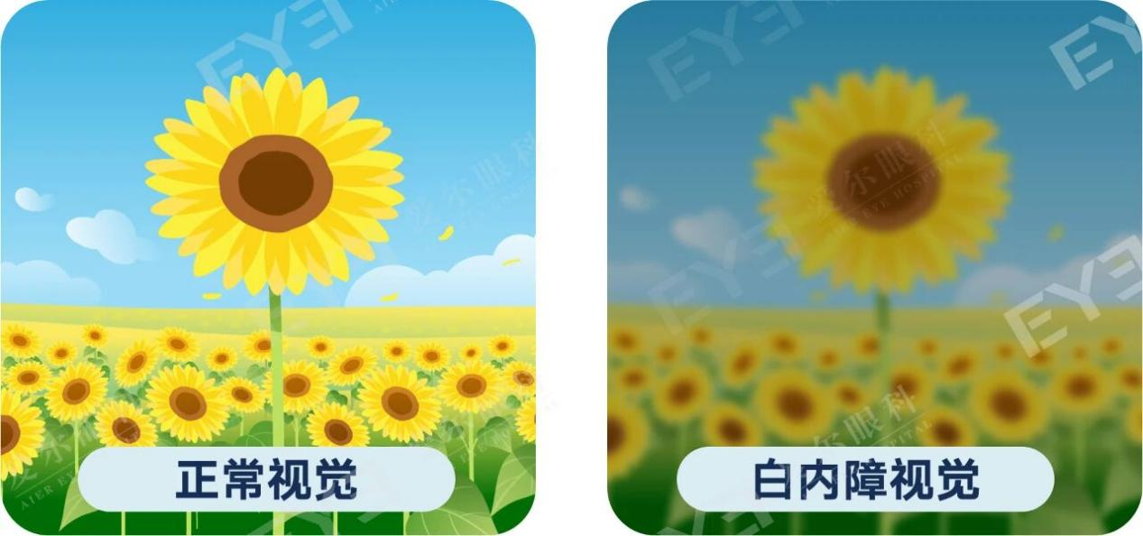 d3fce143-2cd0-4257-99a0-1665237b44d1